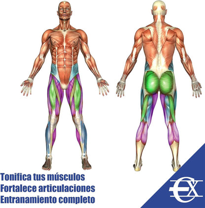 Kit Gomas Elásticas Resistencia Brazos-Piernas | Entrena en Casa