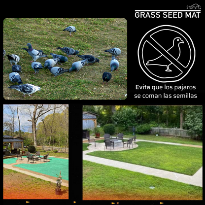 Alfombra de germinación rápida de césped