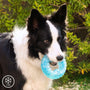 Juguete Mordedor Congelable para Mascotas 2 en 1 Glubiz InnovaGoods