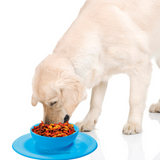 Comedero Antideslizante para Mascotas